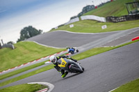 anglesey;brands-hatch;cadwell-park;croft;donington-park;enduro-digital-images;event-digital-images;eventdigitalimages;mallory;no-limits;oulton-park;peter-wileman-photography;racing-digital-images;silverstone;snetterton;trackday-digital-images;trackday-photos;vmcc-banbury-run;welsh-2-day-enduro